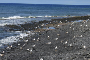 waves on the beach lanzarote