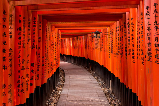 Walkway under orange wooden pillars, Kyoto, Japan