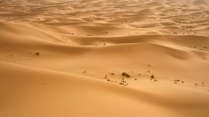 The huge seas of dunes of Erg Chebbi near Merzouga in southeastern Morocco.