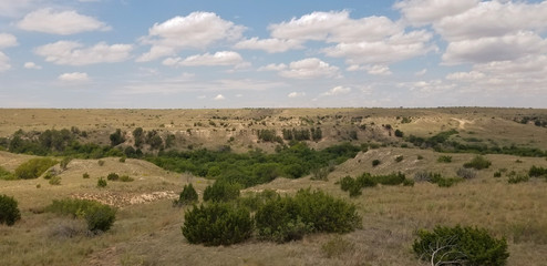 A Texas Landscape