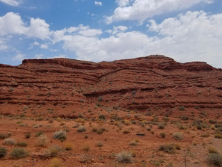 Red Arizona Hillside
