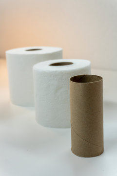 Descending Rolls of White Toilet Paper TP - from largest roll in back to empty cylinder roll in front (Vertical format) 