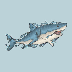 Hand drawing vintage shark vector illustration