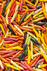 Italian Macaroni Pasta raw food background, texture close up. The concept of Italian cuisine, cooking with love.