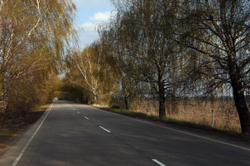 Fototapeta premium The landscape of road, trees and sky