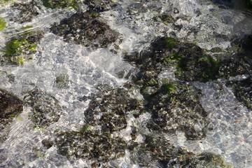 Obraz premium foam on the water