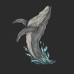 Hand drawing vintage whale jump vector illustration
