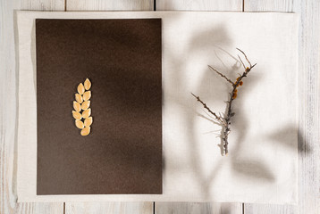 A dry branch of sea buckthorn and pumpkin seeds on a brown-beige background with the shadow of a tree branch with leaves. Concept for postcards, invitations, book covers. For your design.