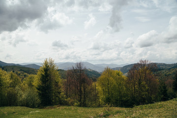 Fototapeta premium Spring in mountains. Beautiful mountain landscape, deciduous forest and cloudy sky. Nature is waking up