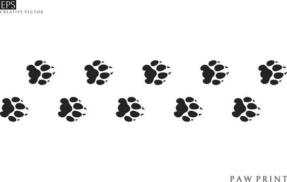 Lion paw prints. Silhouette. Isolated paw prints on white background