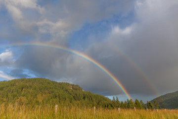 Fototapeta na wymiar colored double rainbow over the mountain with green pines.