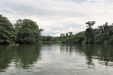Panamanian river