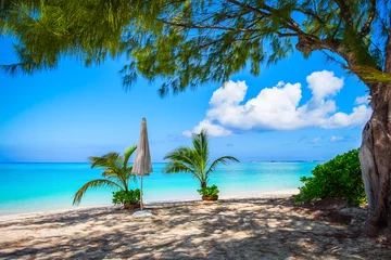 Photo sur Plexiglas Plage de Seven Mile, Grand Cayman Small palm trees in pots and a close white parasol on a empty Seven Mile Beach during confinement, Cayman Islands