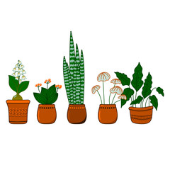 Vector set green plant in pot