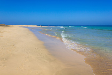 Long empty seashore on sunny day in Fuerteventura, Spain. Amazing natural landscape in Canary Islands. Summer vacation, travel destination, idyllic paradise concepts