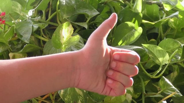A girl is showing thumbs up sign with fingers and hand.