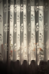 The morning light beats through the window, it seeps through the room flowers accentuates the texture of the curtain