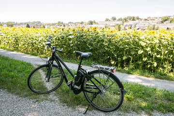 Fototapeta premium Bike in the field with sunflowers trip