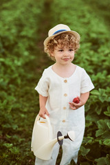 A little curly caucasian boy in a white hat and linen clothes in the field pours a garden strawberry new cropawberry new crop