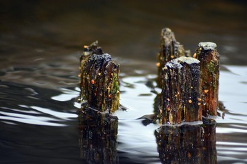 Stare a ładne.  © ARTUR