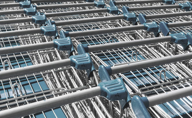 Light blue shopping carts