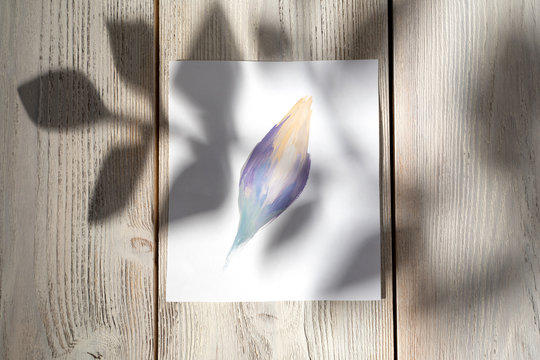 Purple painted abstract flower on a wooden background with the shadow of a branch with leaves. Hand-painted. A gentle illustration for your design.