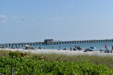 muelle