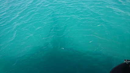 Port de peche hammamet, Tunisie