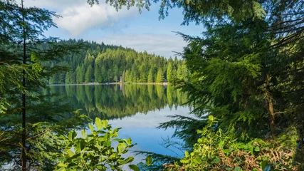 Schilderijen op glas tranquillity reflected on lake in forest © Andrew