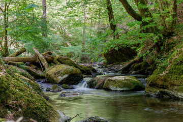 Schnell fließendes Wasser in einer bewaldeten SChlucht