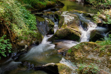 Schnell fließendes Wasser in der Ehrbachklamm, Hunsrück