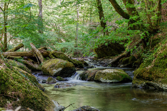 Schnell flie&szlig;endes Wasser in einer bewaldeten SChlucht