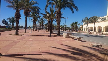 Fototapeta premium Port de pêche hammamet, Tunisie
