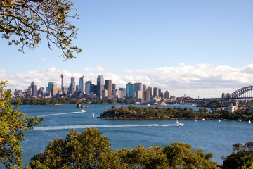 Fototapeta premium Sydney from the Sydney zoo