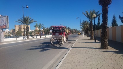 Port de pêche hammamet, Tunisie