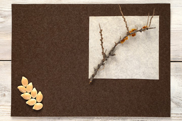 A dry branch of sea buckthorn and pumpkin seeds on a brown-beige background. Concept for postcards, invitations, book covers. For your design.