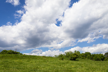 Hillside pasture with lush vegetation looking up at huge white clouds and deep blue sky, creative copy space, horizontal aspect