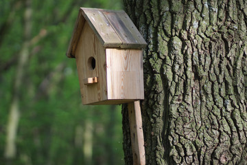 Nesting box for birds made of wood