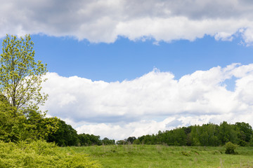 Fototapeta na wymiar Pasture lined with trees and shrubs, spring green, with blue sky line between two layers of clouds, creative copy space, horizontal aspect