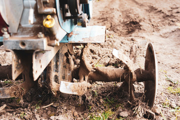 the cultivator loosens fertile soil. Agricultural machinery for tillage in the garden walk-behind...
