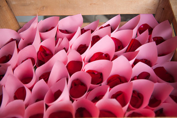 Obraz premium Rosas