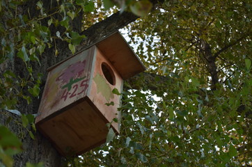 Wooden Bird House
