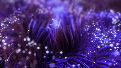 Fiber optic wires with flashing signals. Digital data transmission via fiber optic cable. Bouquet of colored optical fibers with bokeh. Technology concept. 3d illustration