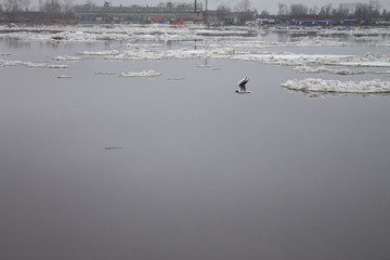 windless weather on the river with a view of the horizon