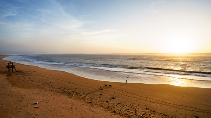 Dogs enjoy playing on the beach near the Atlantic Ocean at sunset. Morocco