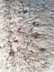 Natural wool with detail of woven pattern
