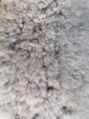 Lana naturale di pecora texture sfondo macro con dettagli sulla trama della lana