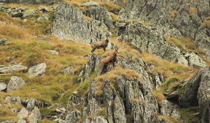Mountain life travel