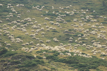 Mountain life travel