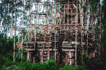 jungle construction